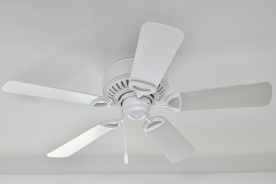 Ceiling Fans Dust