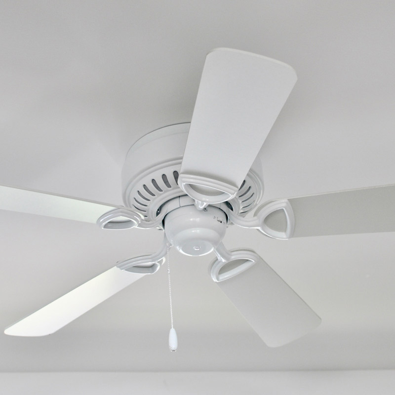 Ceiling Fan Cleaning Service